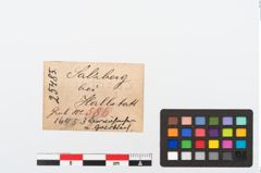 Etikett zu Goldspiralröhrchenperlen (NHMW-PRAE-025485)